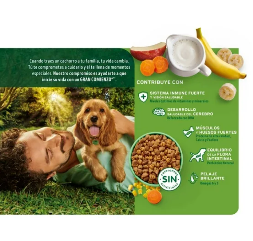 Alimento Seco para Cachorro Purina Dog Chow Todos los Tamaños Con Extralife 9 kg - .