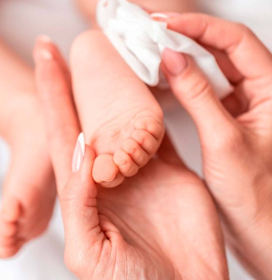 Toallitas Húmedas Member's Mark 564 pzas - .