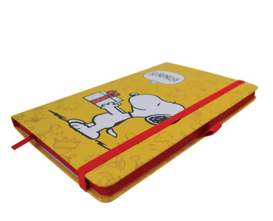 Libreta Danpex Traveler Peanuts SNOA50-6 - .