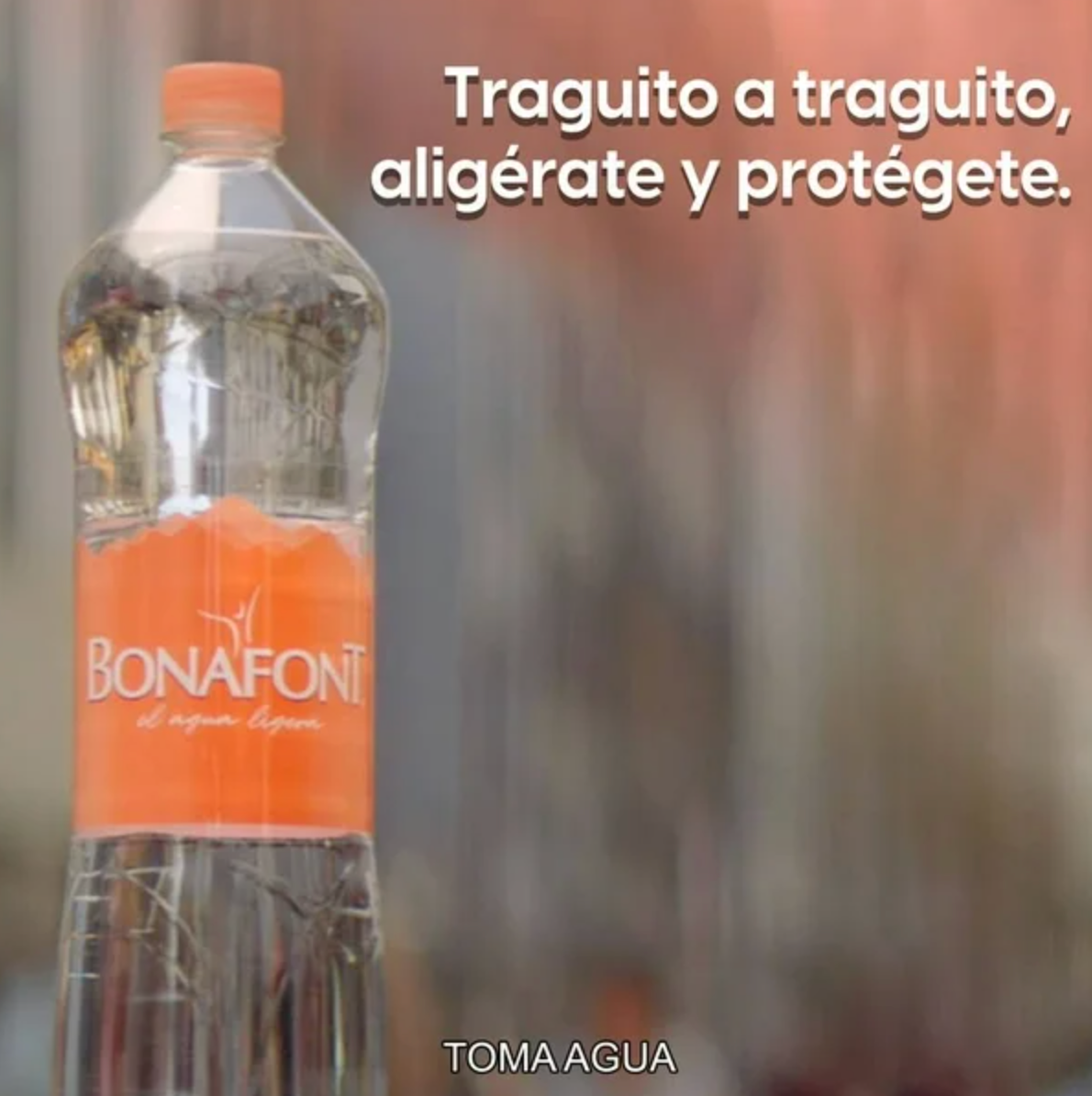 Agua Natural BONAFONT 12 pzas de 1.5 l - .