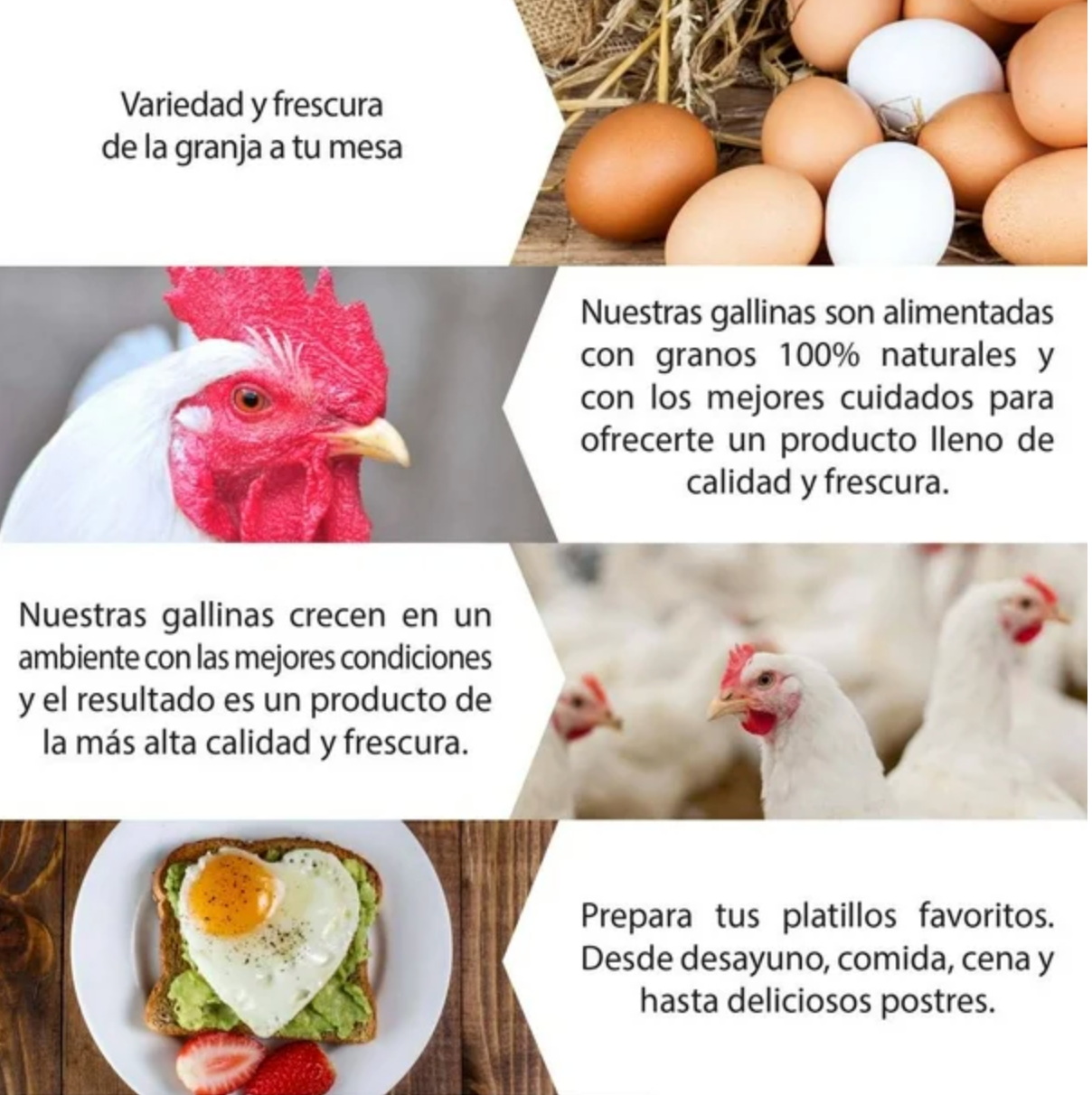 Huevo Blanco Bachoco 30 piezas - .