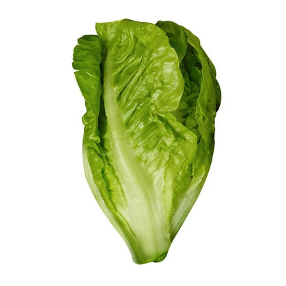 Lechuga Baby Fresh Garden 6P