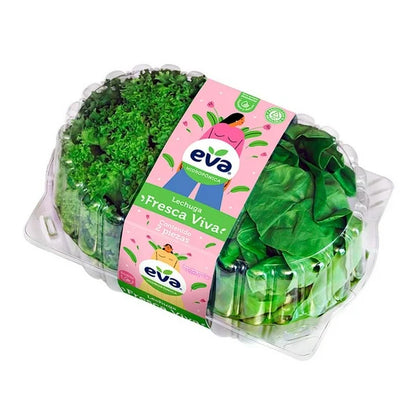 Lechuga Viva Eva Hidropónica 2P