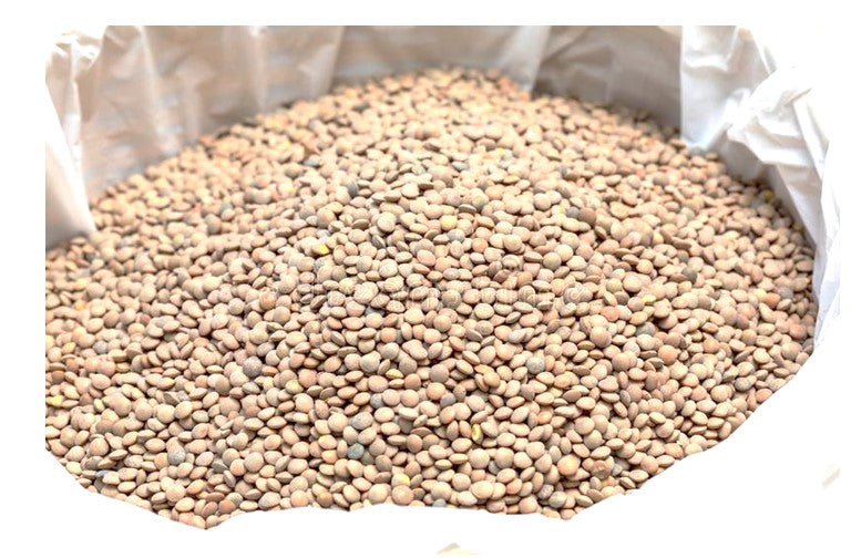 LENTEJA GRANEL 1/25KG - SCG