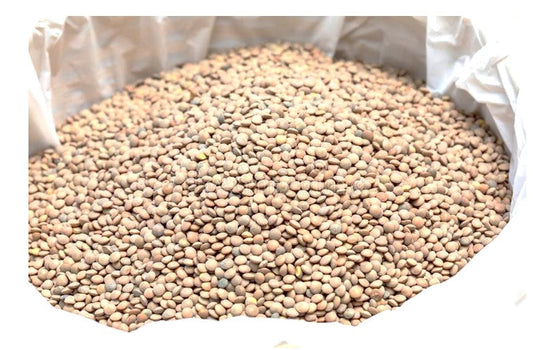 LENTEJA GRANEL 1/25KG - SCG