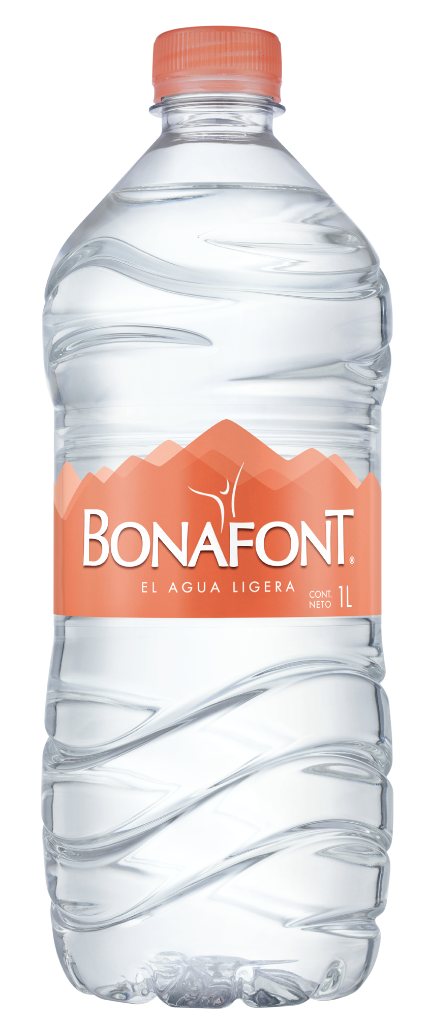 Paquete agua Bonafont 1L/12P -