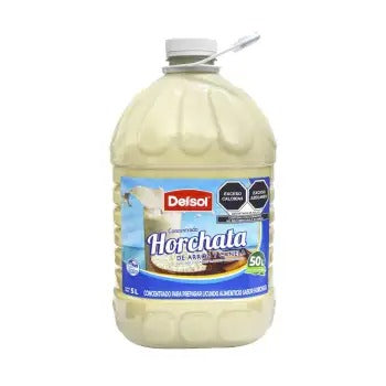 Concentrado Delsol Sabor Horchata 5L - K