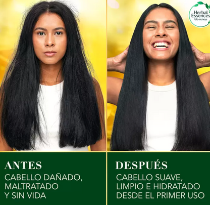 Herbal Essences Shampoo Pequi & Aguacate 865 ml - .