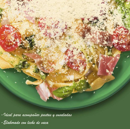 Queso Parmesano Kraft 453 g - .