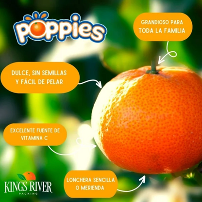 Mandarina sin Semilla 2.27 Kg - .