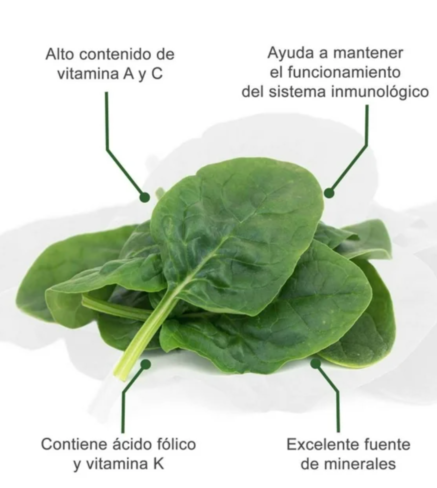 Espinaca Daily Salad 1.13 Kg - .