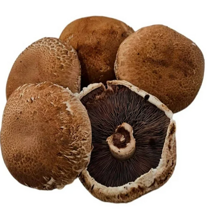 Hongos Portobello Champiñones Monte Rey 500 g - .