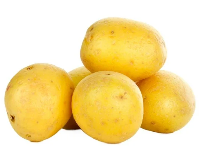 Papa Cambray The Little Potato 1.36 kg - .