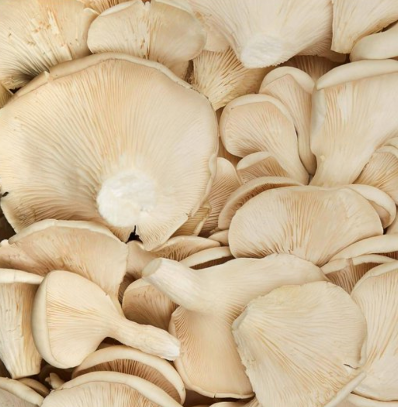 Setas Hongos El Dorado 1 Kg - .