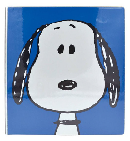 Carpeta Danpex de Vinil Peanuts SNO 517-5 - .