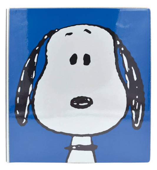 Carpeta Danpex de Vinil Peanuts SNO 517-5 - .