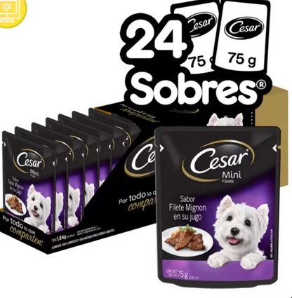 Cesar Alimento Húmedo para Perro Sabor Filete Mignon 24 pzas de 75 grs - .