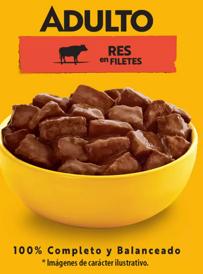Pedigree Alimento Para Perros Adultos Sabor Res, Paquete De 24 Sobres de 100 gr - KOZ