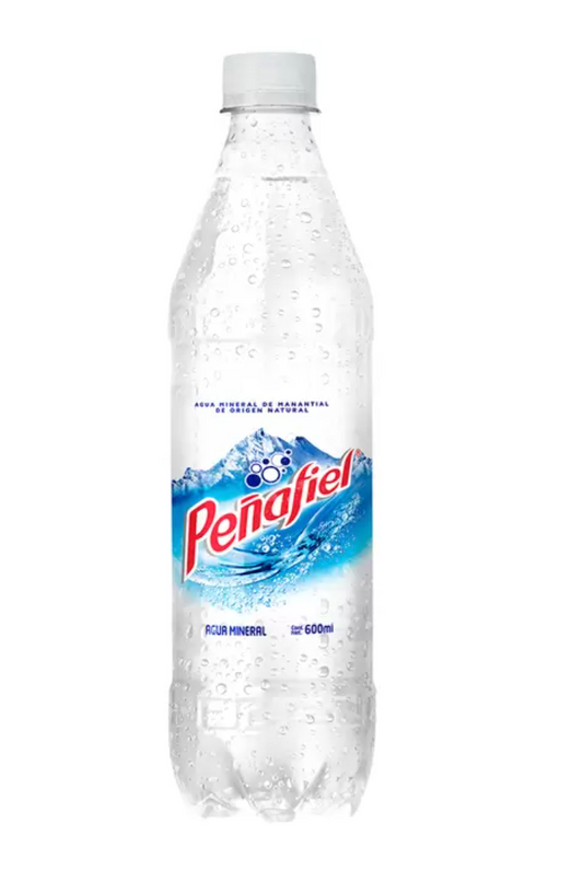 Peñafiel Agua Mineral Pet 12 pzas de 600 ml - .