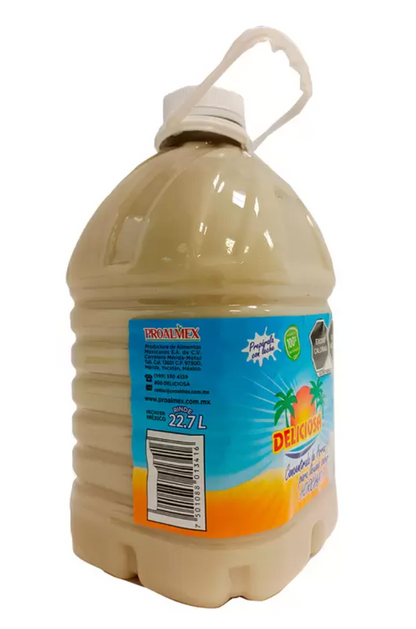 Deliciosa Concentrado de Arroz sabor Horchata 3.7 L - .