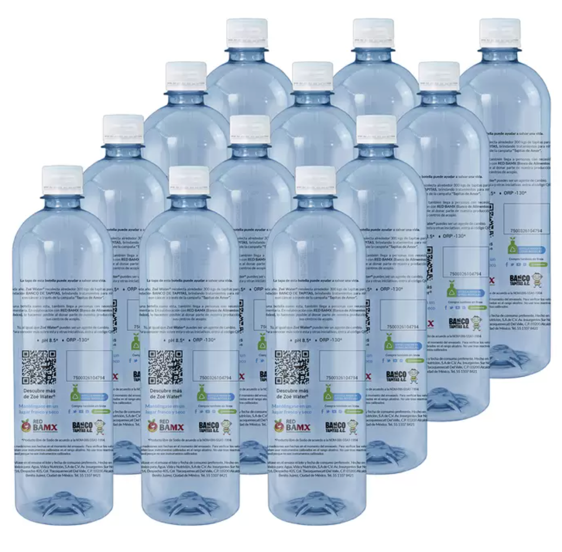 Zoé Water Agua Alcalina 12 piezas de 900 ml - KOZ