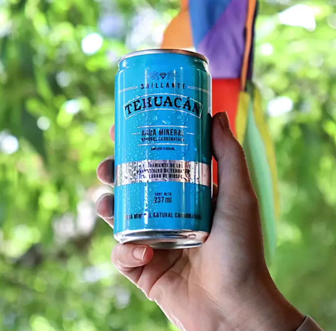 Tehuacán Agua Mineral 24 piezas de 237 ml - .