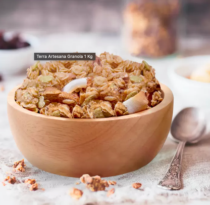 Terra Artesana Granola 1 Kg - KOZ