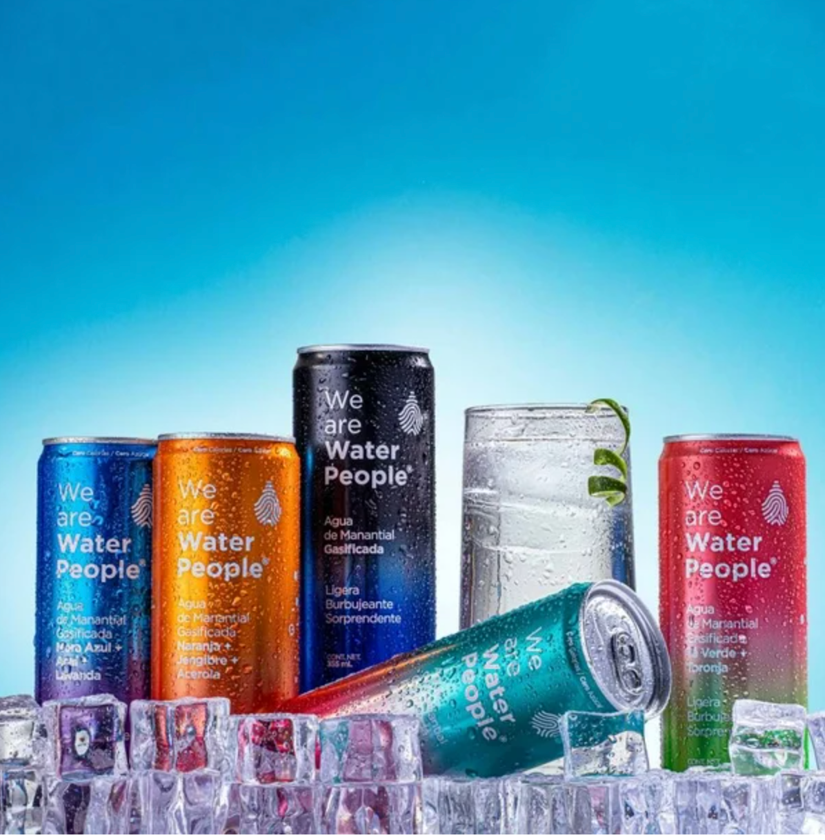 Agua Gasificada We Are Water People Variedad de Sabores 16 pzas de 355 ml c/u -.