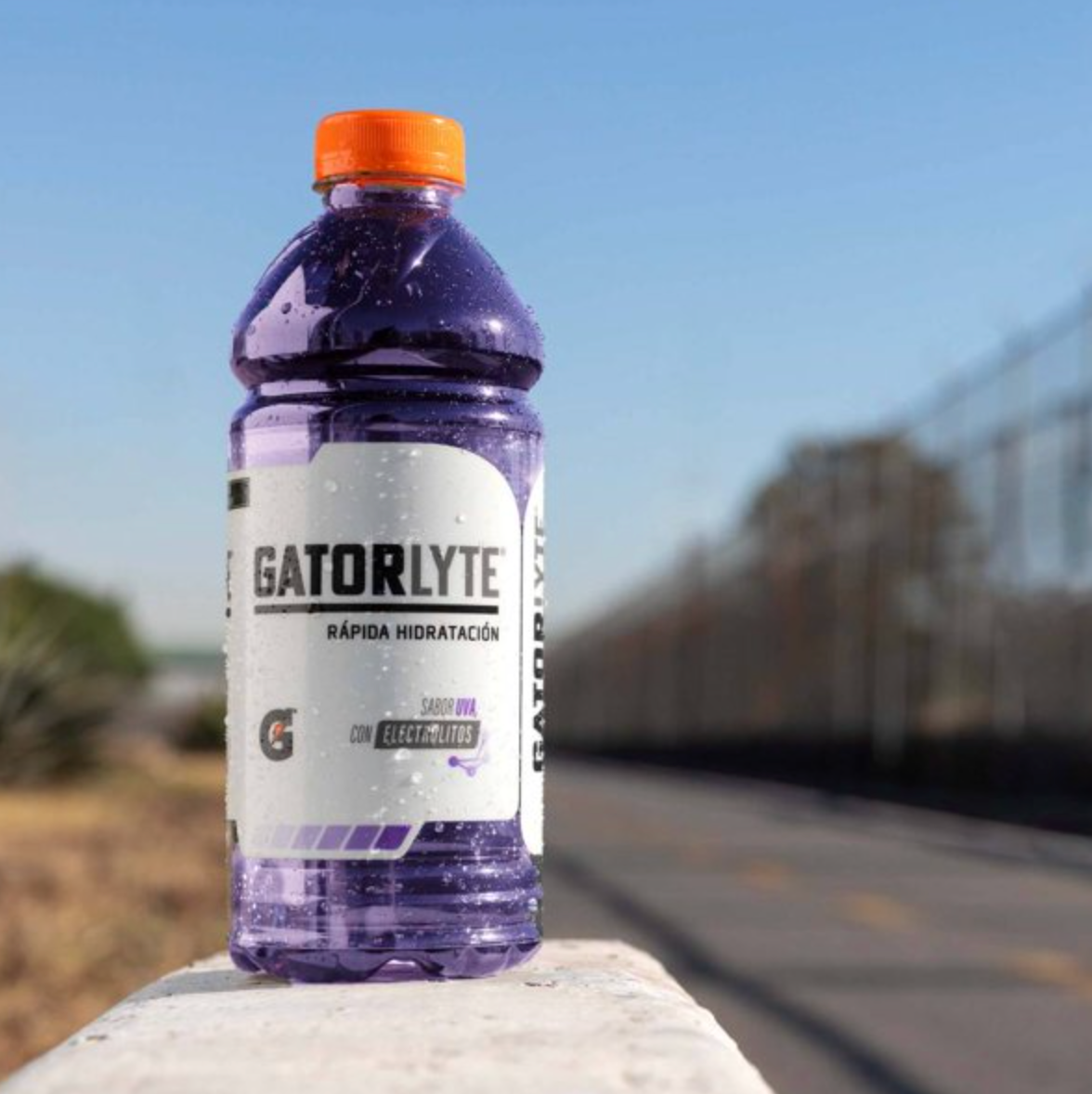 Bebida con Electrolitos Gatorlyte Sabor Uva 6 pzas de 591 ml c/u - .
