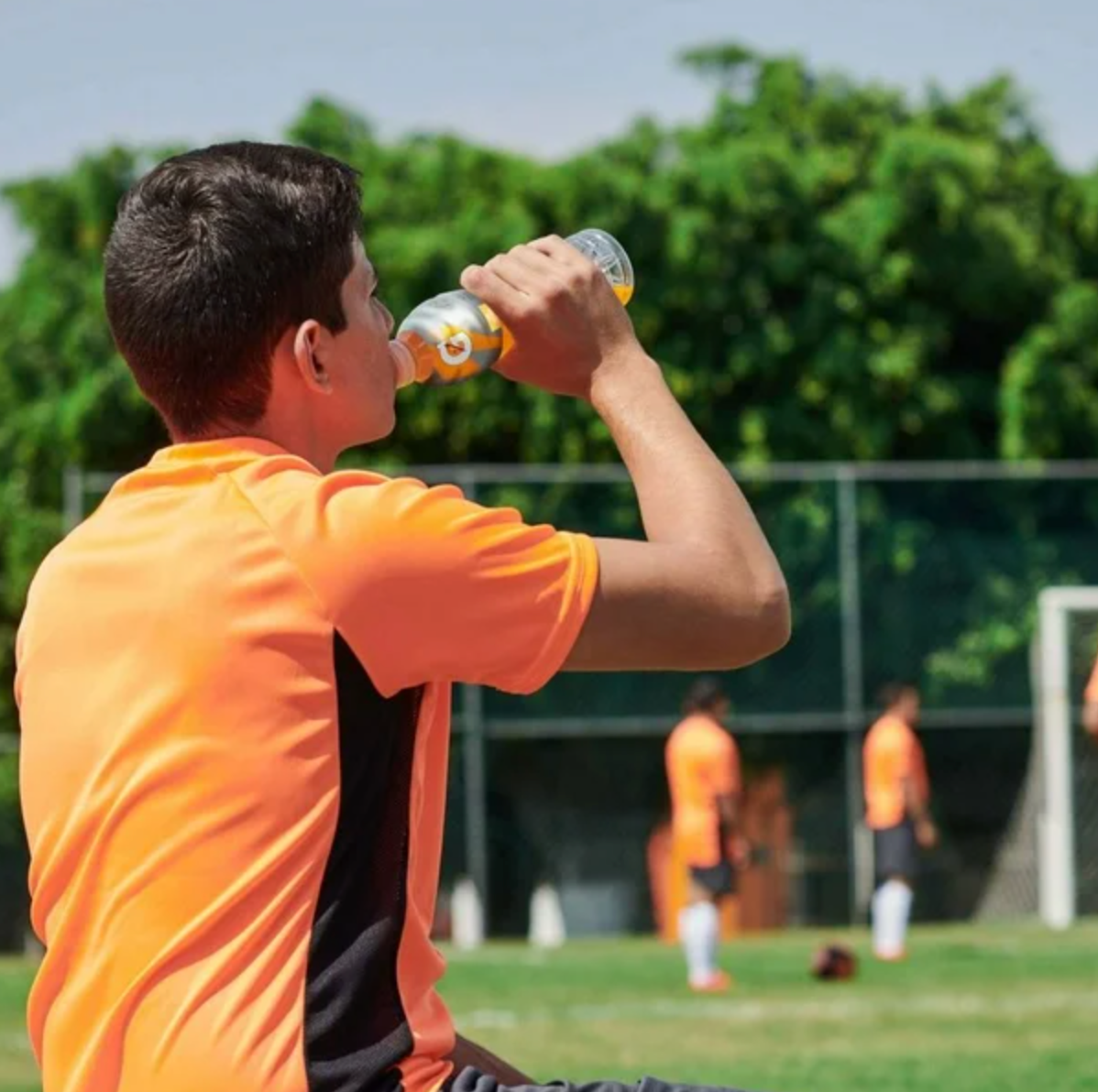 Bebida Gatorade Sabores Cítricos y Frutales 24 Pack de 600 ml - .