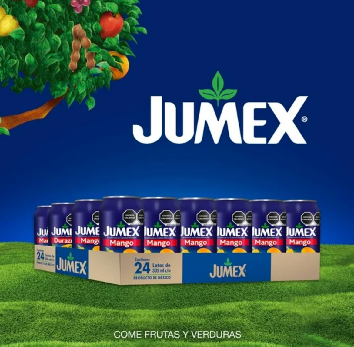 Bebida Jumex con Fruta Sabores Surtidos 24 pzas de 335 ml -.