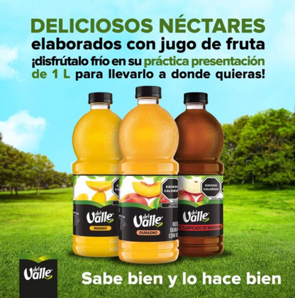 Néctares Frutales Del Valle Sabores Surtidos 6 pzas de 1 L c/u -.