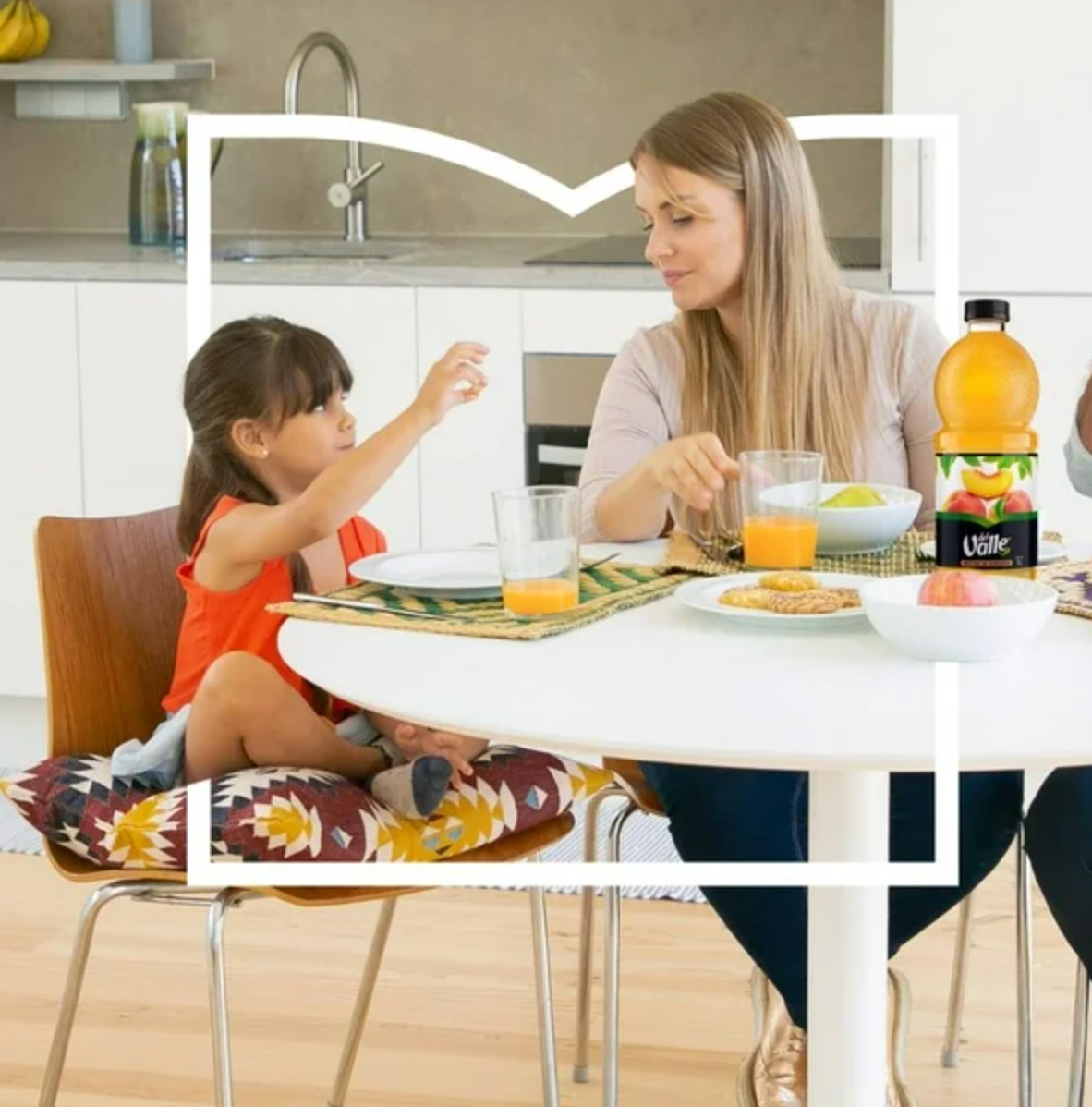 Néctares Frutales Del Valle Sabores Surtidos 6 pzas de 1 L c/u -.