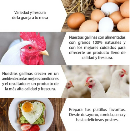 Huevo Blanco Bachoco 30 piezas - .