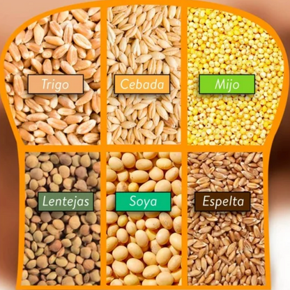 Pan de Grano Entero Ezekiel 907 gr - .