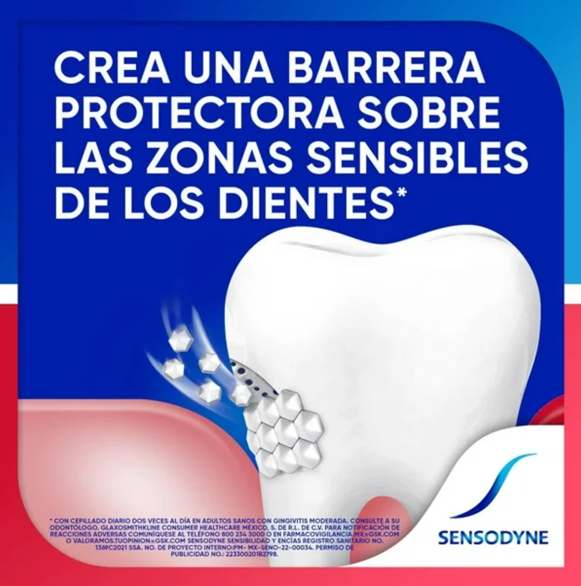 Pasta Dental Sensodyne Sensibilidad Y Encías Regular para un Doble Alivio 3 pzas de 100 g c/u - .