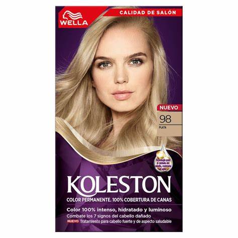Caja Tinte Koleston Plata 98/12P