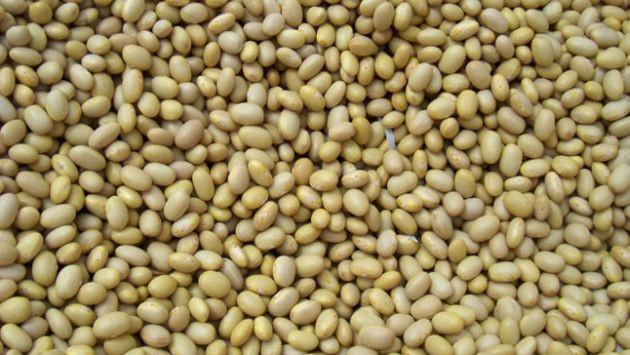 Media Caja Frijol Peruano de 1 kilo con 5 piezas - Joya-Granos, Semillas y Cereales-Joya-MayoreoTotal